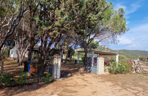 Aglientu Villa | Villa mare e campagna
