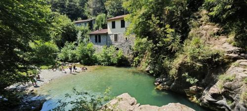 Villafranca in Lunigiana Villa | Villa Margherite