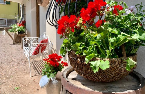 Baselga di Pine Apartment | Villa Maria Baselga di Pinè Appartamenti