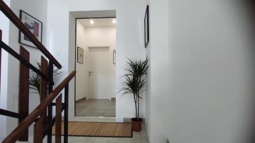 Marotta Apartment | VILLA MARIANNA