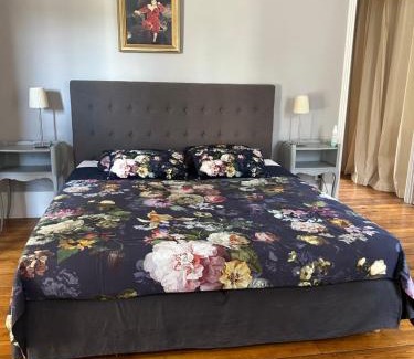Saint-Satur House | VILLA MARLISE Chambre Hôtes