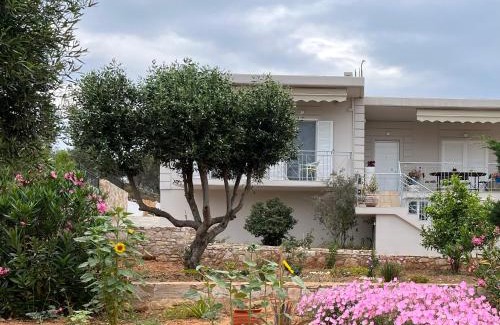 Lavreotiki Apartment | Villa Maxima Lavrio