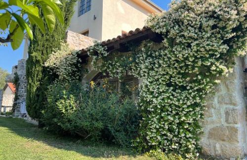 Krasici Villa | Villa Mediterranea