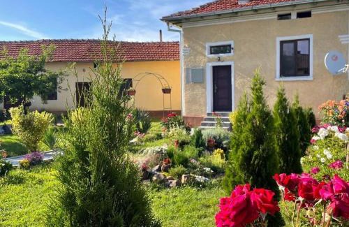 Troyan House | Villa Mirela