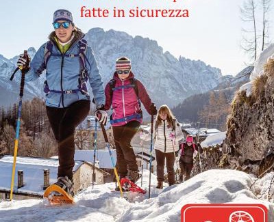 Pieve di Cadore Apartment | Villa Nani