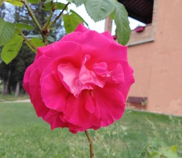 Castelfiorentino Bed & Breakfast | Villa Niccoli
