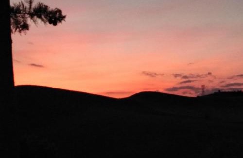 Castelfiorentino Bed & Breakfast | Villa Niccoli