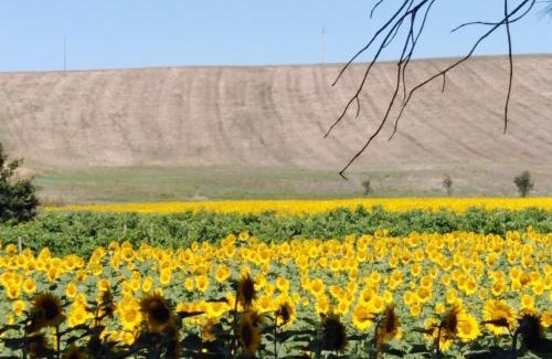 Castelfiorentino Bed & Breakfast | Villa Niccoli
