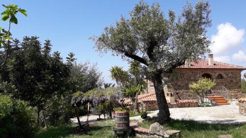 Laureana Cilento House | Villa Nigro