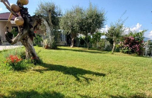Farke Villa | Villa Nikol