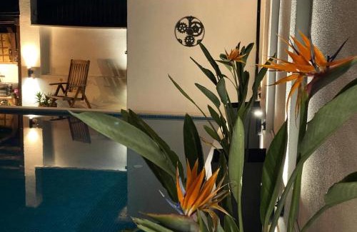 Prcanj Villa | Villa Nikola