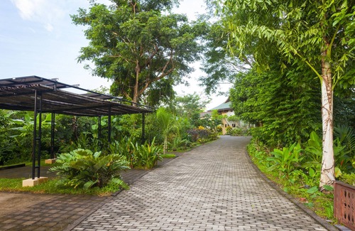Mal Pais Villa | Villa Ocio