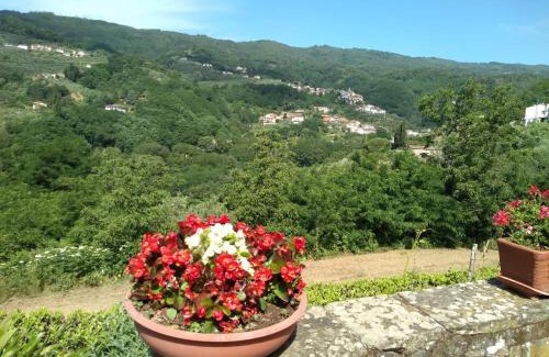 Marliana Apartment | Villa Olivi