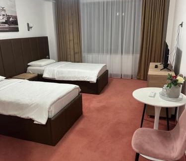 Drobeta-Turnu Severin Hotel | Villa Ovidiu