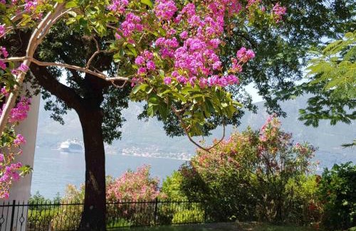 Orahovac Villa | Villa Palma