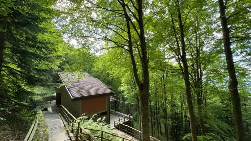 Roncoscaglia Villa | Villa Panoramica Indipendente - 10 posti letto