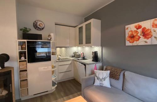 Oberhof Apartment | Villa Parkblick Wohnung 2
