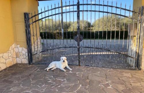 Sa Segada House | Villa Pedrosu
