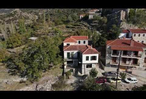 Petra House | Villa Petri