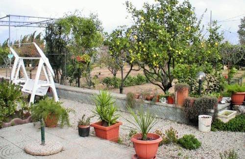 Alghero House | Villa Pietrina del Mejlogu