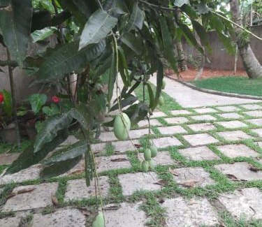 Unawatuna Apartment | Villa Pilseli