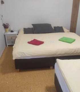 Lipova-Lazne House | Villa Plischke