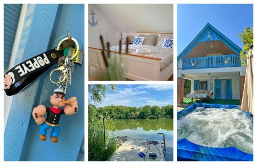 Bekesszentandras House | Villa Popeye Jakuzzis nyaralóház