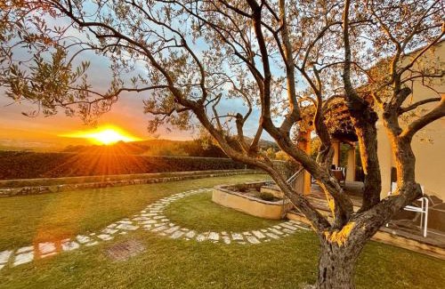 Olbia Villa | Villa, private Garden of Eden, and stunning vistas