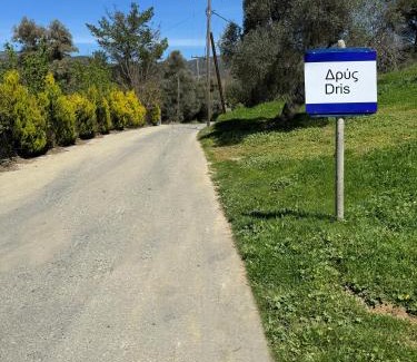 Dhris Villa | Villa Raks
