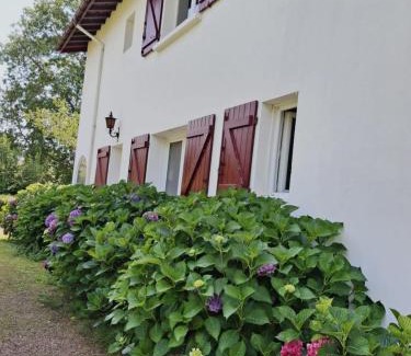 Ascain Apartment | villa relax