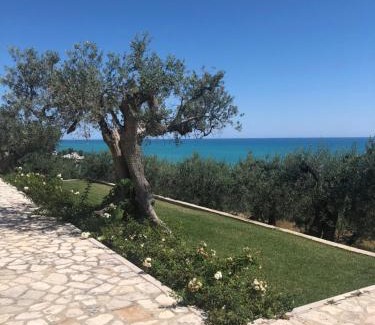 Vasto House | Villa Sami
