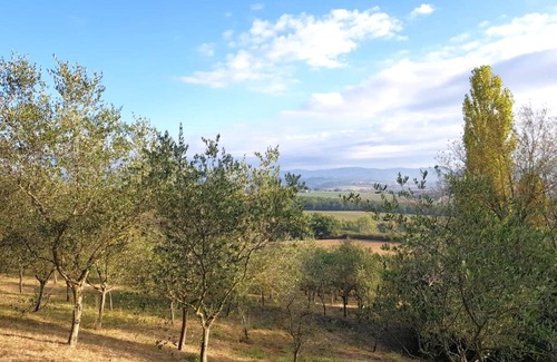 Torgiano Bed & Breakfast | Villa Sandra BB & Home Restaurant
