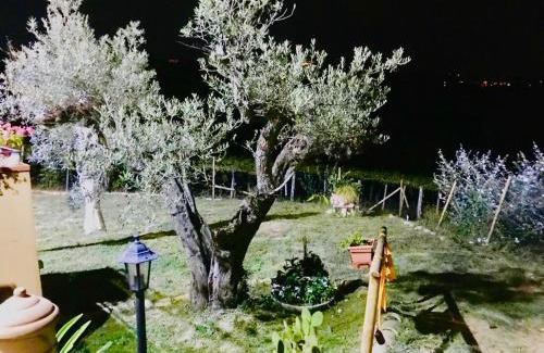Montesilvano Villa | Villa Sarno