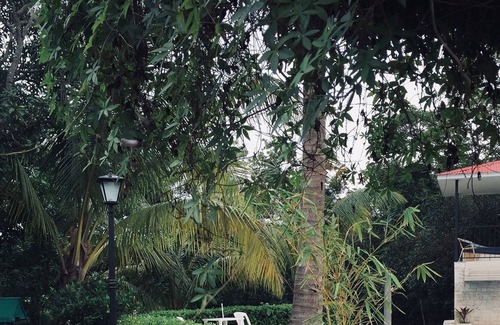 Turrucares Bed & Breakfast | Villa Selah