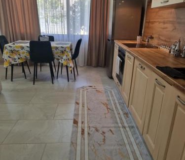 Elbasan Apartment | Villa Shehaj