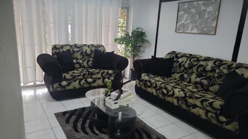 Kingston Apartment | Villa Solara Your Spacious, Central, Affordable Stay in Kingston