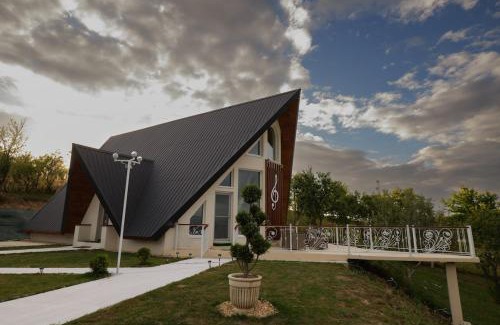 Sighetu Marmatiei Villa | Villa Stradivaryus