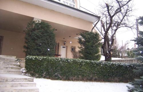 Szentendrei House | Villa Székely