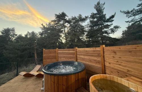 Sofia Villa | Villa The Old School Plana with Hot Pool & SPA by BookVillaBG