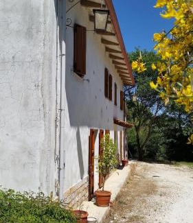 Montemarciano House | Villa Trau