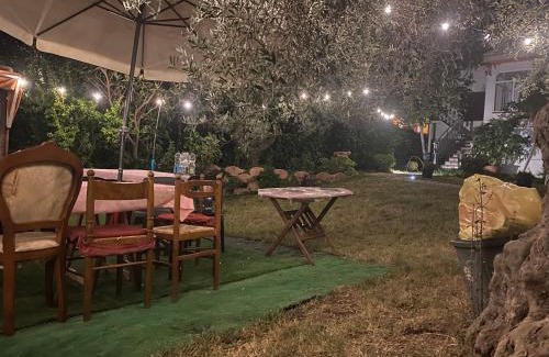 Tocco da Casauria House | Villa Ulivi