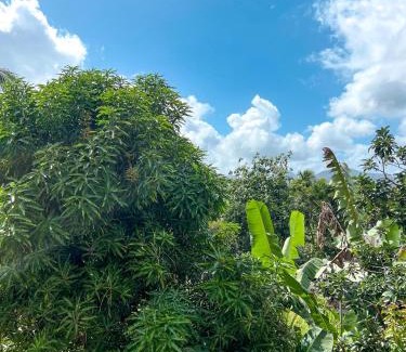 Lamentin Villa | Villa Vato
