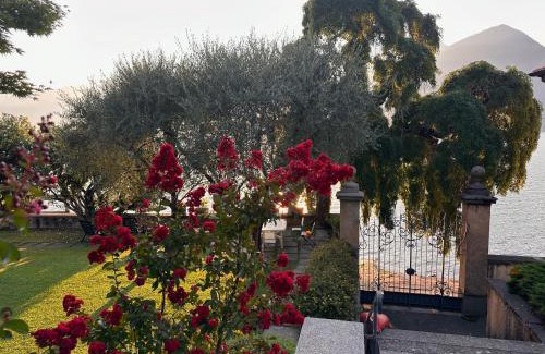Calozzo Villa | Villa Vica - by MyHomeInComo