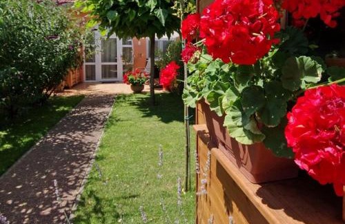 Gyula Apartment | Villa Viola Spa&Garden