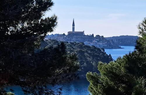 Borik Villa | Villa Vista Rovinj - NEW 2024 !