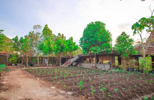 Sidomulyo Villa | Villa Watu Emas 3