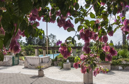 Specchia Villa | Villa with large pool and jacuzzi for large group m350