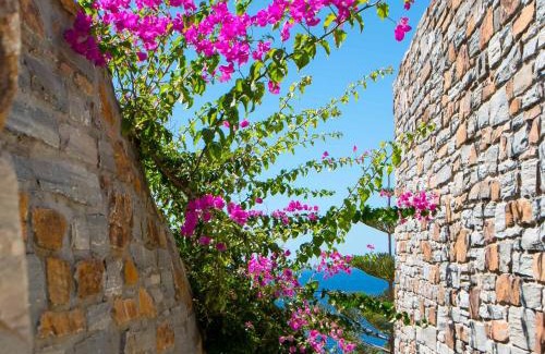 Kea Villa | Villa Yalita