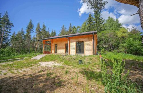 Sofia Villa | Villa Yarema Forest Residence
