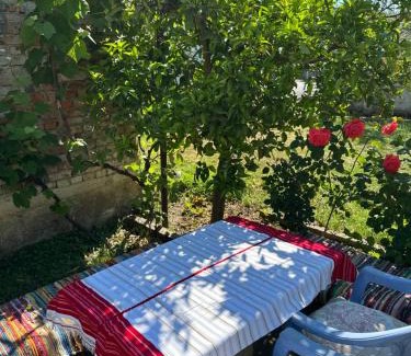 Sakës Bed & Breakfast | Villa Zefi Rrenc
